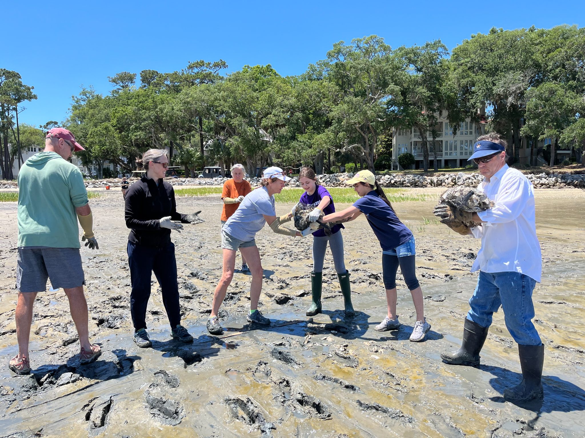 Oyster Reef Rebuild - homepage banner-Enhanced-SR